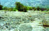 frana Fenis.jpg (90552 byte)