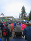 ZOO_ALPINI 144.jpg (160505 byte)