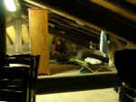 Triestre04 032.jpg (65510 byte)