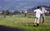 Pollein autoscatto.jpg (130170 byte)