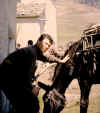 Mulo.jpg (95828 byte)