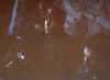 baita.jpg (125302 byte)