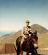 cavallo.jpg (72263 byte)