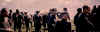 compagnia e muli.jpg (64892 byte)
