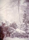 neve 2.jpg (108744 byte)